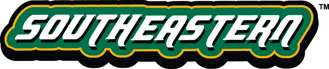 Southeastern Louisiana Lions 2003-Pres Wordmark Logo v2 diy iron on heat transfer